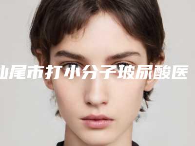 汕尾市打小分子玻尿酸医院排名top10归纳总结-陆丰悦己悦心医疗美容诊所名气大审美好