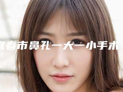 宜春市鼻孔一大一小手术整形医院(丰城慧尔美医疗美容诊所一一上榜)