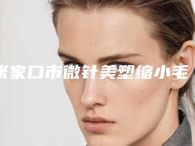 张家口市微针美塑缩小毛孔价格表(费用)靠谱吗擅长项目 -张家口市微针美塑缩小毛孔费用是多少钱