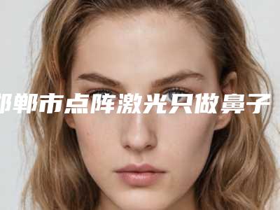 邯郸市点阵激光只做鼻子价格价位表有名全新版曝光一览-邯郸市点阵激光只做鼻子均价为2875元