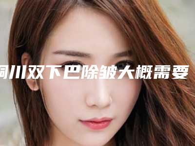 铜川双下巴除皱大概需要价格是多少钱