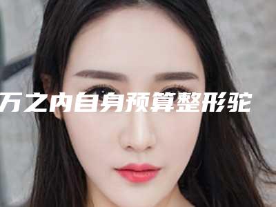 1万之内自身预算整形驼峰鼻能够做好吗(做一个驼峰鼻大概需要多少钱)